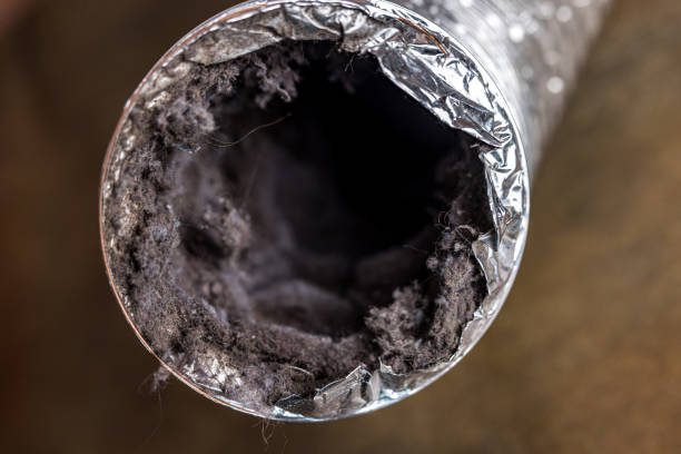 Best HVAC System Cleaning  in Delray Beach, FL